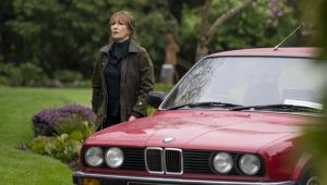 Harry Wild – La signora del delitto 3×4